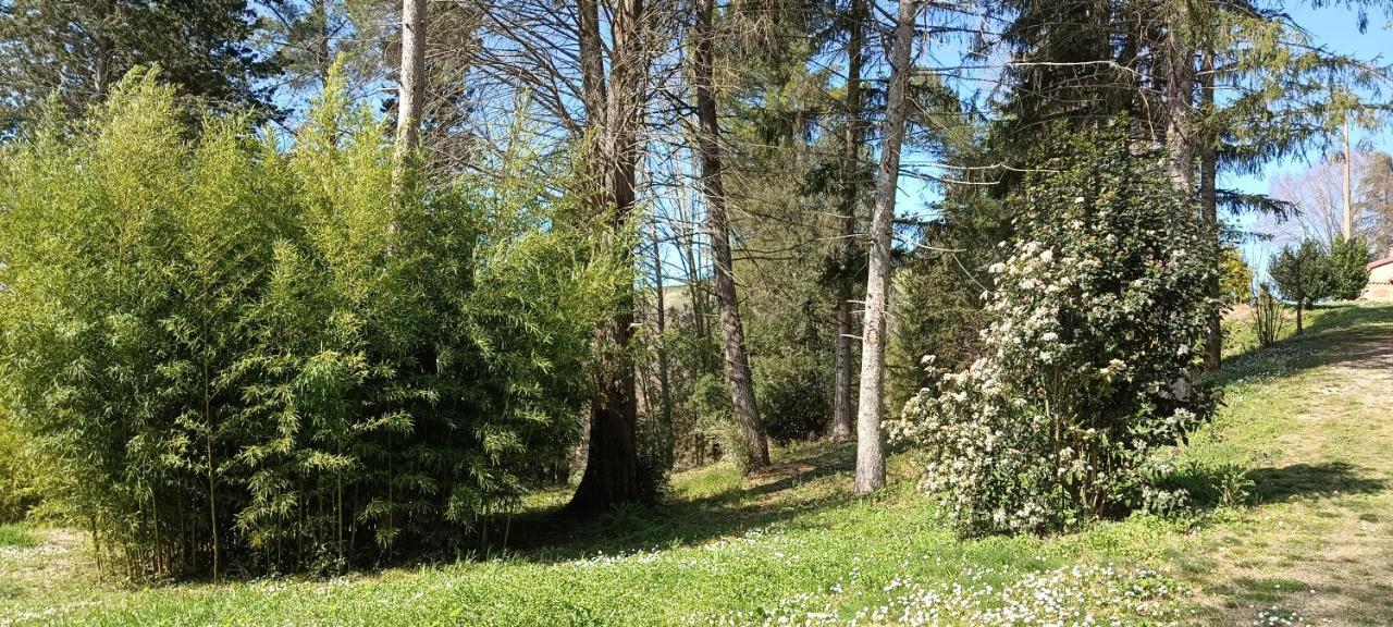 Casale La Pineta Apartman Mombaroccio Kültér fotó