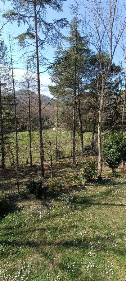 Casale La Pineta Apartman Mombaroccio Kültér fotó