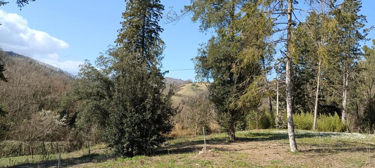 Casale La Pineta Apartman Mombaroccio Kültér fotó